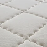 Baizhu 016 - Image 3